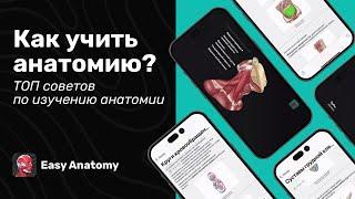 Как учить анатомию? | Топ Советов по изучению анатомии человека | Easy Anatomy