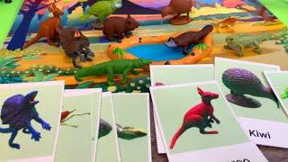 Fun with Flashcards: Australian Animals