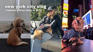 a trip to nyc with our puppy // #nycvlog #dogtravel