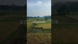 大明星的反轉人生 #明星轉型 #人生轉折 #娛樂八卦 #真相揭密 #戲劇人生