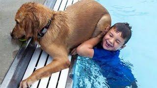 The most SILLY DOG on the planet  Funny Dog Videos 2024