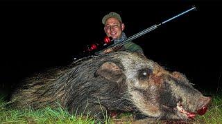 Hunting Large Bushpigs Night Hunt II Bushpig Braai - Trailer!!