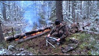 Делаю ночлег среди медведей и волков, ночую в тайге у нодьи. Ищу заброшенную избу, что-то нашел.