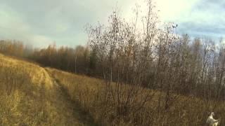 Warm Up Pheasant Hunt - Nov, 2013