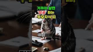 가까이 살면 성공하는 부모자식 띠 #로또 #재물운 #띠별운세 #오늘의운세 #타로 #신점