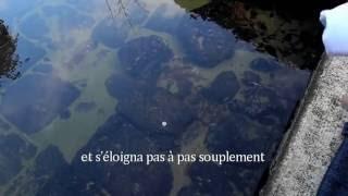 Lavoir 'Passages' Stefaan van Biesen La Romieu France 2016