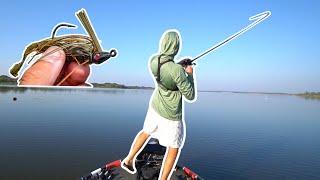 Swim Jig Fishing SIMPLIFIED (Why You're Doing It WRONG)