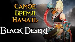 Стоит ли играть Black Desert Online в 2024 году