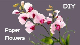 How To Make Sweet Pea Paper Flowers23‐09‐12#DIYPaperflowercraft #Paperflowertutorial #homedecoration