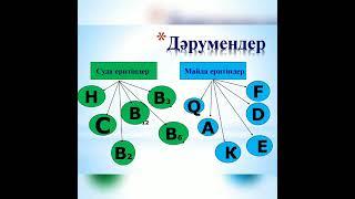Дұрыс тамақтану негіздері