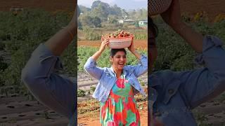 At Strawberry Farm #shorts #youtubeshorts #ammachethivanta #strawberry #respect #trending #viral