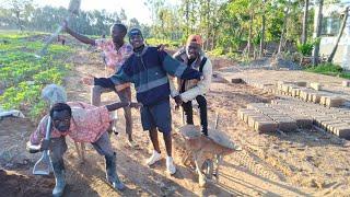 A Day As a Casual Worker At @iammarwa Villa Construction Site @pablo_jnr  @Its_Eliah