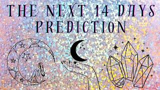 The Next 14 Days Predictions AF Reading Pick A Card