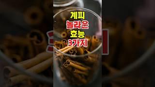 당신이 몰랐던 계피의 충격적인 진실#건강#건강정보#쇼츠#shorts#계피