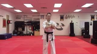 Kihon Katas 1-3 (Kids Basic Forms) - Zanshin Martial Arts