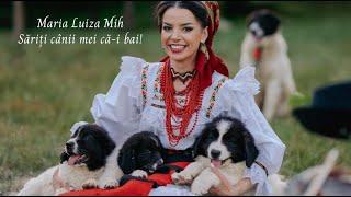 Sariti canii mei ca-i bai! - @MariaLuizaMih si Ceterasii din Maramures