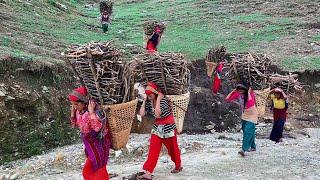 Traditional Rural life in Nepal | Primitive Village lifestyle in Nepal | village life daily routine