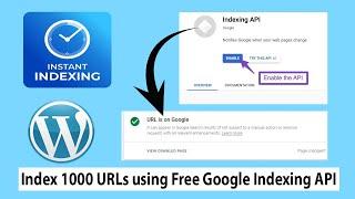 How to Set Up Google Instant Indexing API in Just 5 Minutes | Google Instant Indexing For WordPress