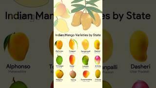 Indian Mango  varieties by State|Mango varieties in India |Types of mangoes #shorts #mango