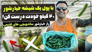 “The Secret to Probiotic Pickles: Gut Health & Fermentation Explained!خیار شور تخمیری جوادجوادی