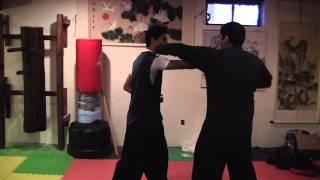 LI FAMILY STYLE  (LI GAR CHUAN) BASIC TIGER FORM WITH APPLICATION PRACTICE