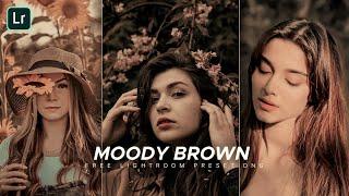 Moody Brown Free lightroom Preset | Free Lightroom Preset DNG | EDITORIAN