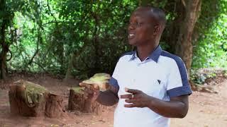 Voodoo religion explained by Remi at the Sacred Forest in Benin