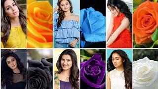 Who is the best with rose  