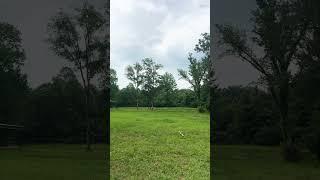 Kip Curtis 2025 Swing
