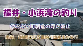 福井県・小浜湾/浮き波止の釣り＜前2時間で五目釣りできるかな？＞