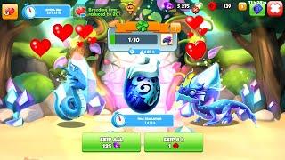 Have you got Sapphirus Dragon-Dragon Mania legends | how to breed 2025 dragon of the month Sapphirus