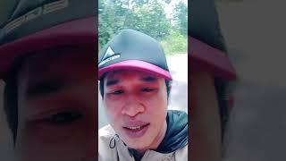 Bikin Ngiler Langsung Dari Pohon nya #shorts #viralvideo #viralshorts #rujak
