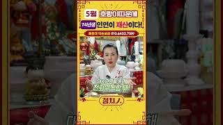 2025년 5월 범띠운세 대인관계를 넓혀야 할 타이밍! #74년생 #호랑이띠운세 #범띠