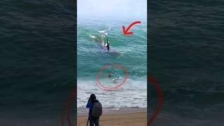 Shocking An ORCA whale hits 3 surfers! 