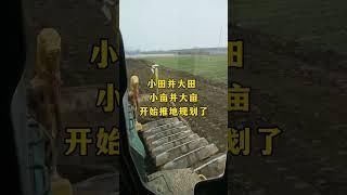 小田變大田，小畝變大畝，開始規劃了！#農村土地#土地規劃 #土地改造