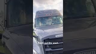 Fresh out the wash#truckersoftiktok #CDL #Trucking #truckerlife #Semitruck #freightliner #Truckwash