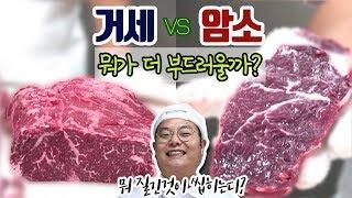 한우암소와 한우거세의 차이 어떤것이 더 부드럽고 맛있을까?