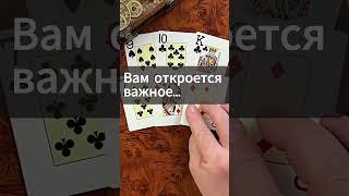 СРОЧНО️Как Высшие Силы Видят Вашу Ситуацию...                #цыганскоегадание #shorts #гадание