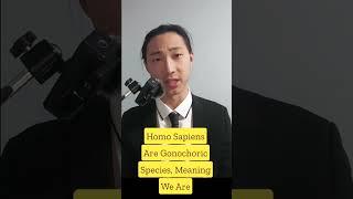 How many genders are there?