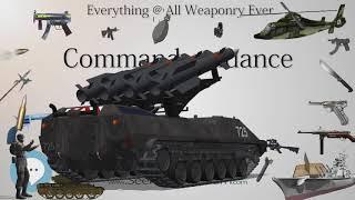 Command guidance (Everything WEAPONRY)️
