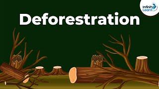 Conservation of Plants and Animals - Introduction | Don't Memorise