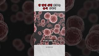 누구나 걸릴 수 있는 ‘암’, 발병 위험 낮추는 음식 3가지 #암 #암예방 #건강정보 #우아한건강
