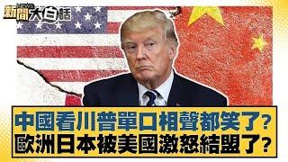 中國看川普單口相聲都笑了？歐洲日本被美國激怒結盟了？【#新聞大白話】20250424 ｜#羅旺哲 #徐弘庭 #陳揮文