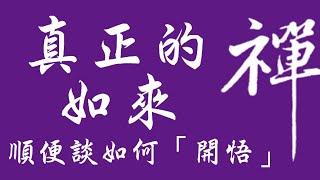 如何開悟？ 真正的禪 真正的如來 _ 10分鐘講完「當下的力量」重點_只要保持在「純然的覺知」上不理會ego小我的聲音就能自然回到開悟狀態 順便談妙禪 如來宗 法輪功 教主崇拜
