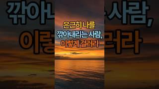 은근히 나를 깎아내리는 사람, 이렇게 걸러라 #명언 #공감글귀 #좋은글