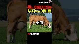 12간지 띠별로 재물복 대박 나는 아파트 층수