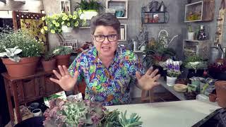 Container Gardening LIVE with Tanya Visser