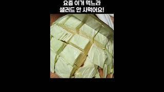 간단한데 정말 맛있어요   I can't stop eating this cabbage