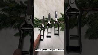Инструменты которыми можно пользоваться вечно @Studio.Bonsai #garden #shorts #bonsai #бонсай