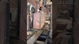 Amazing Biggest Woodworking Heavy Sawmill Cutting Wood #SHORTS